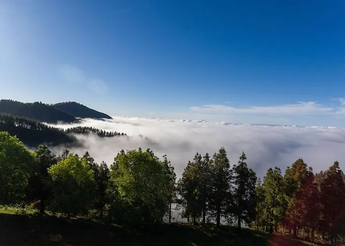 Апартаменти Top-apartment Near Yumbo *